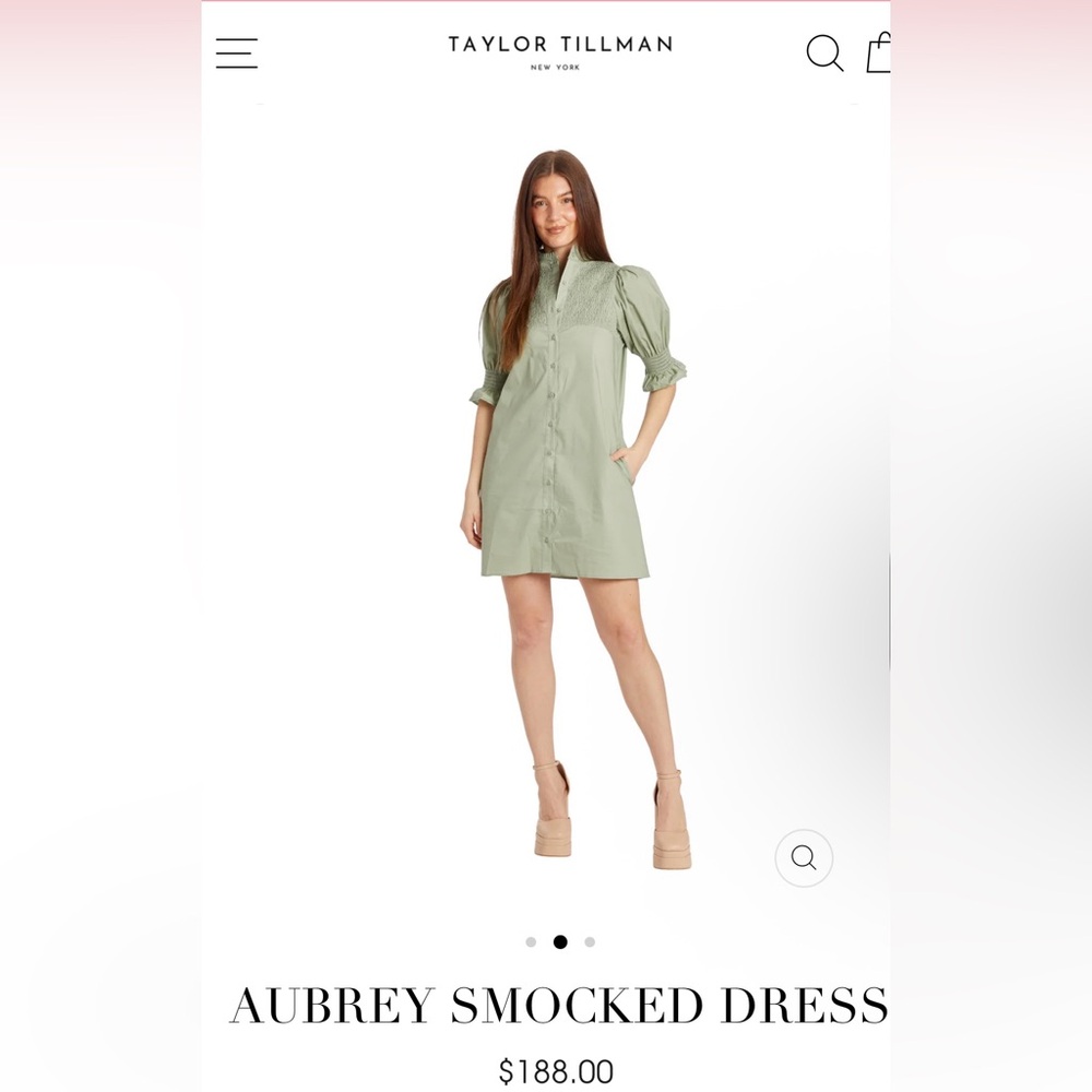 Taylor Tillman - Aubrey Smocked Dress - Sage Green Sz Small